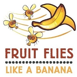 Fruit flies Like a Banana:Kids! 2.5**