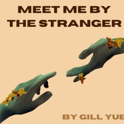 Meet Me by The Stranger  3***