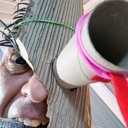 Seymour Mace Does Things with Stuff 4 ½ ****