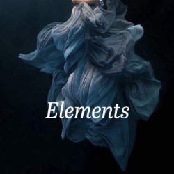 Elements – 4.5****