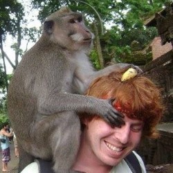 Matt Harvey: I Got Bit By A Monkey Once 3***