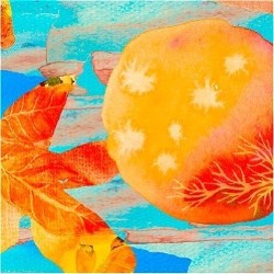 Taiwan Season: Where Has All the Fruit Gone? – 3***
