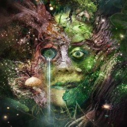 Bog Witch – 5*****