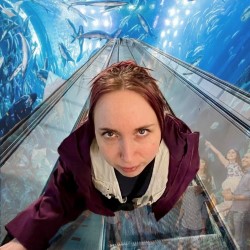 Shannon Brooke — 100 Million Fish in the Aquarium 4⭐️⭐️⭐️⭐️