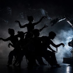 Dragon – Yehyo Dance Company 4****